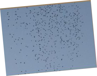 wp4878ee87.png