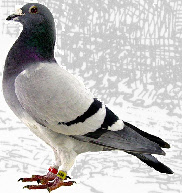 wp97fd5747_0f.jpg